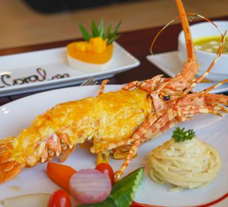 Tận hưởng những món ăn ngon